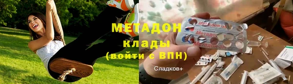 хмурый Аркадак