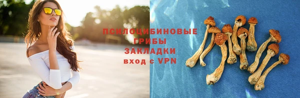 мяу мяу мука Белоозёрский