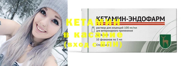 хмурый Аркадак