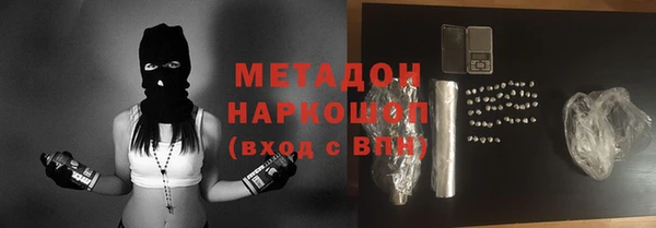 хмурый Аркадак