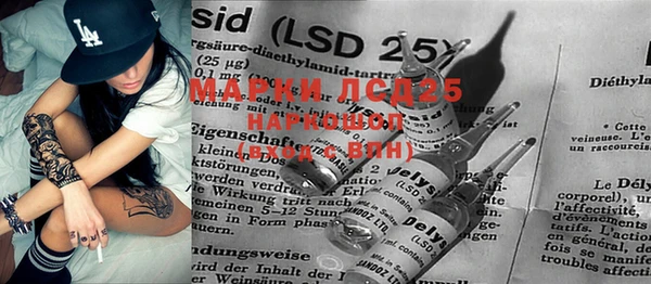 PSILOCYBIN Алзамай