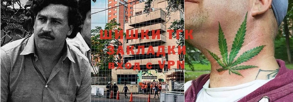 хмурый Аркадак